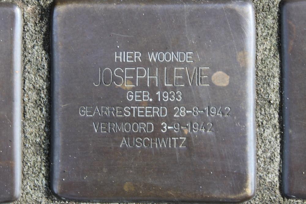 Stolpersteine Merelstraat 29 #5