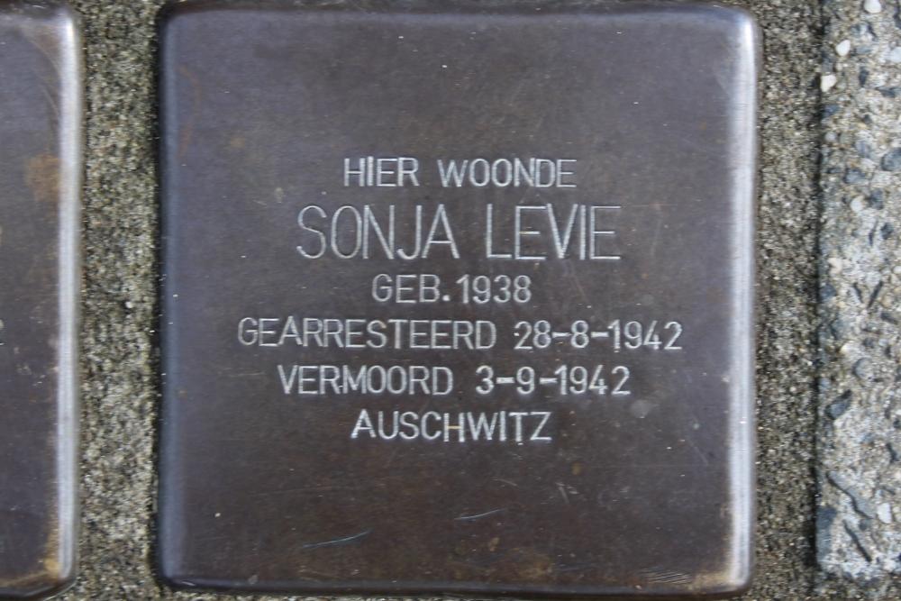 Stolpersteine Merelstraat 29 #6