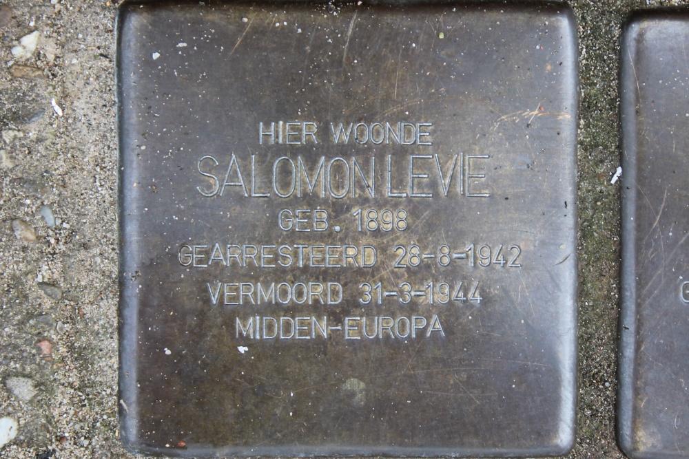 Stumbling Stones Leeuwerikstraat 80 #2