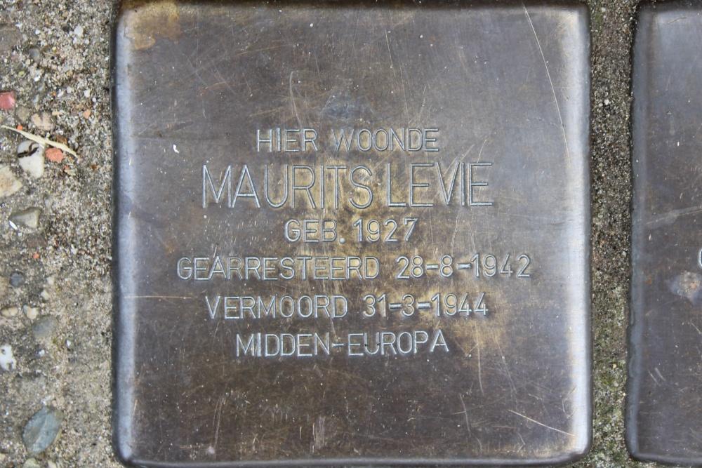 Stumbling Stones Leeuwerikstraat 80 #4