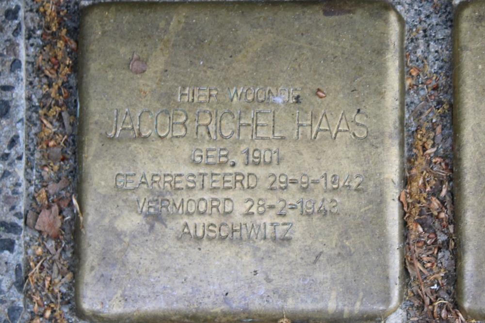 Stolpersteine Speelhuislaan 42 #2