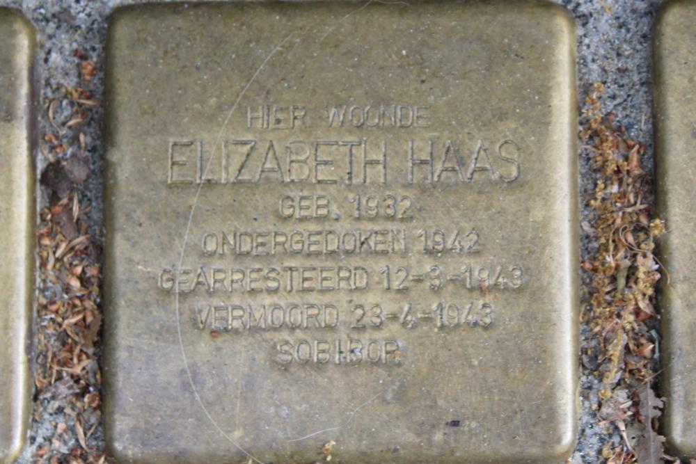 Stolpersteine Speelhuislaan 42 #4