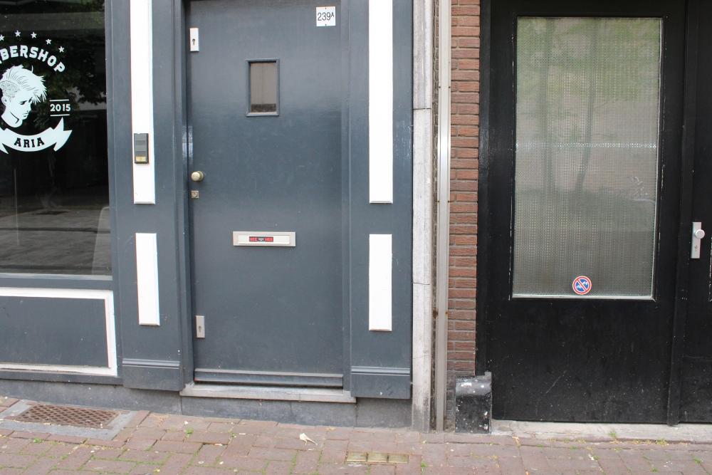 Stumbling Stones Haagdijk 239a #5