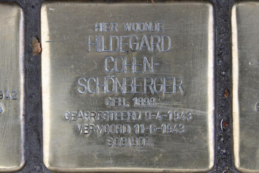 Stolpersteine Haagdijk 251a #3