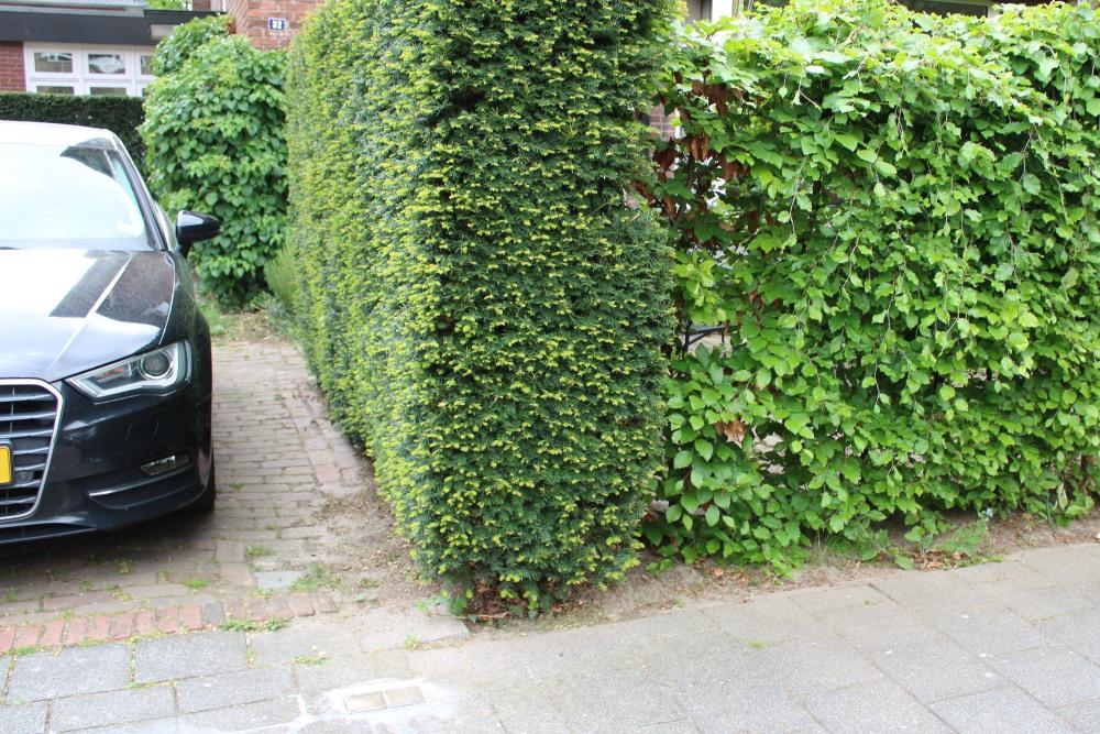 Stumbling Stones Willem III Laan 32 #4