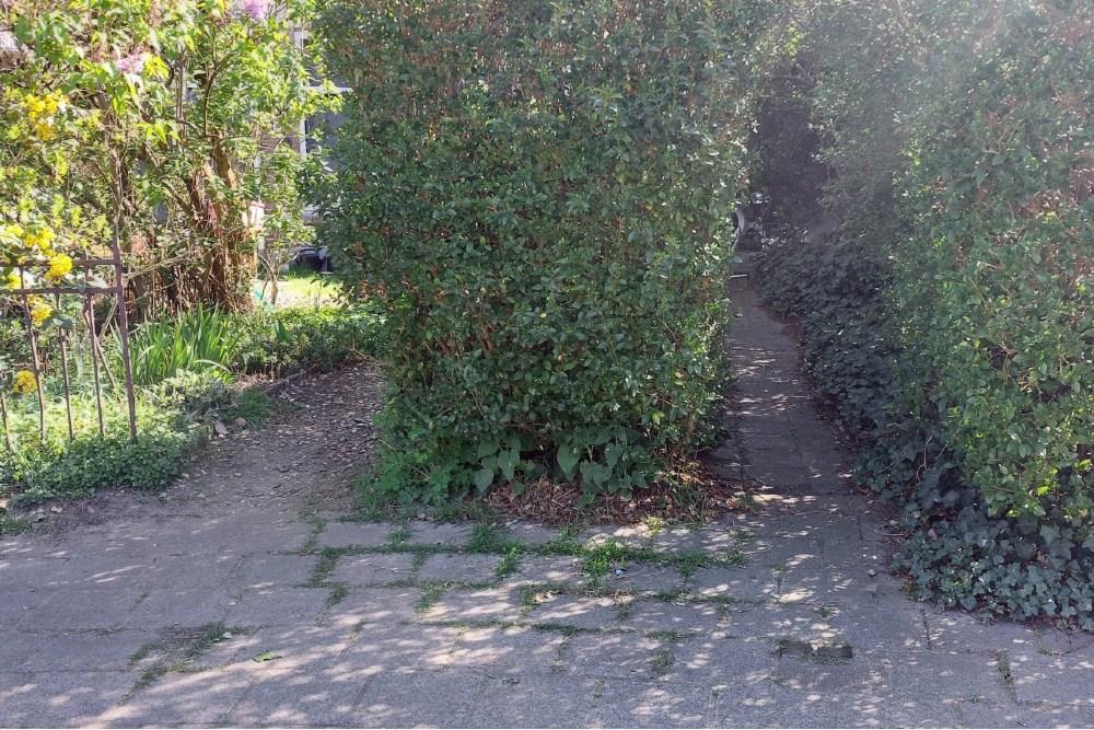 Stolpersteine Plein Eendragt 27a #5