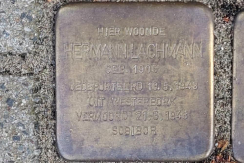 Stolpersteine Graaf van Bloisstraat 56 #3