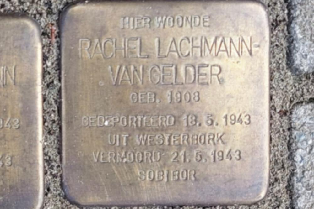 Stolpersteine Graaf van Bloisstraat 56 #5