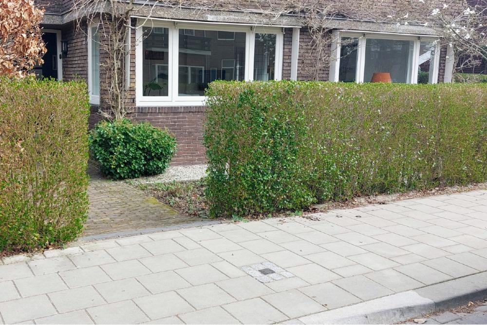 Stumbling Stone Van Itersonlaan 3a #3