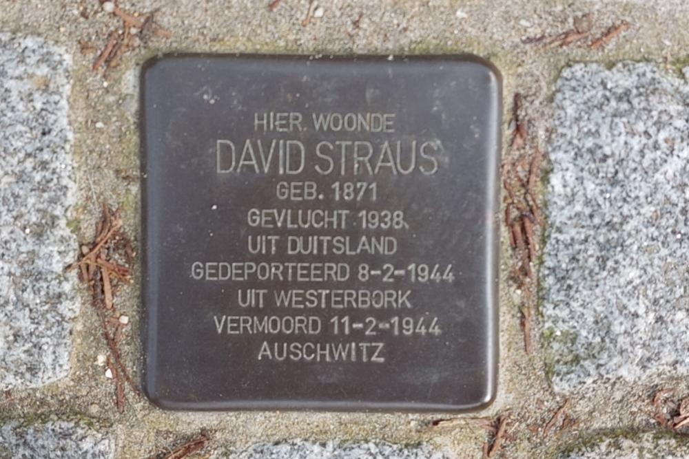 Stumbling Stone Van Itersonlaan 3a #4