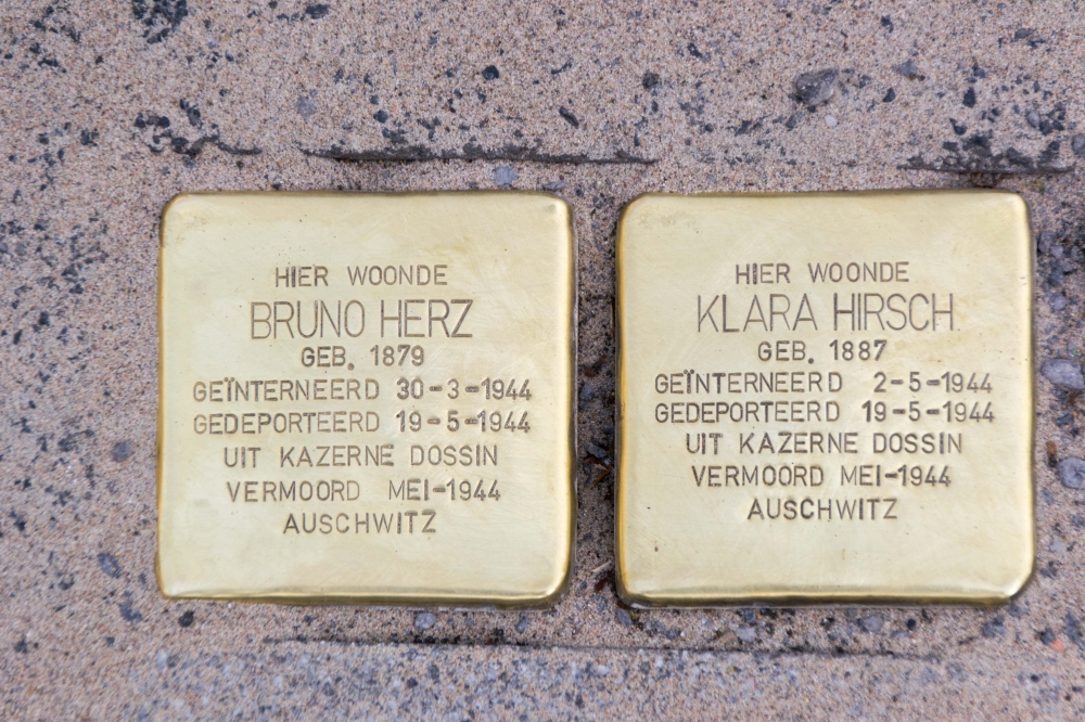 Stumbling stone Jewish victims Bruno Herz and Klara Hirsch Turnhoutt #1