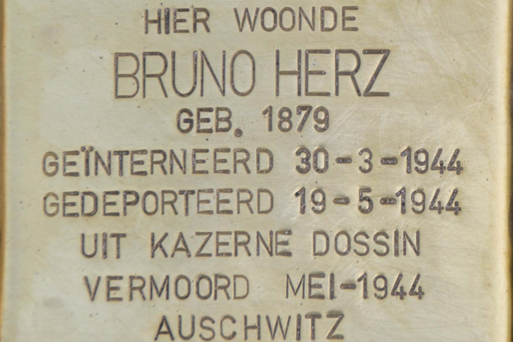 Stumbling stone Jewish victims Bruno Herz and Klara Hirsch Turnhoutt #3
