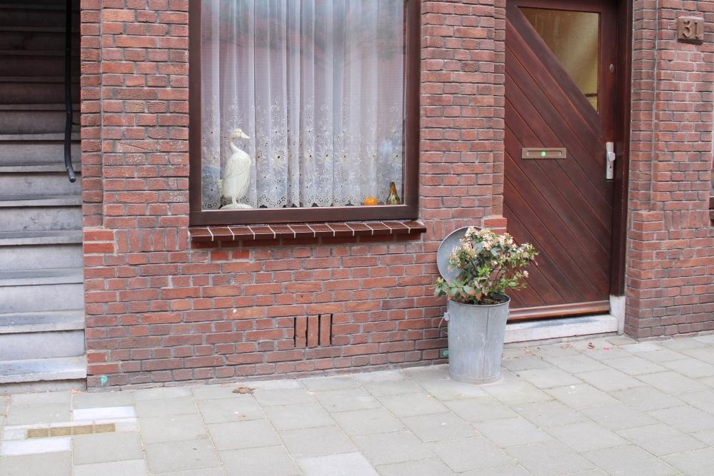 Stolpersteine Zwetstraat 33 #6