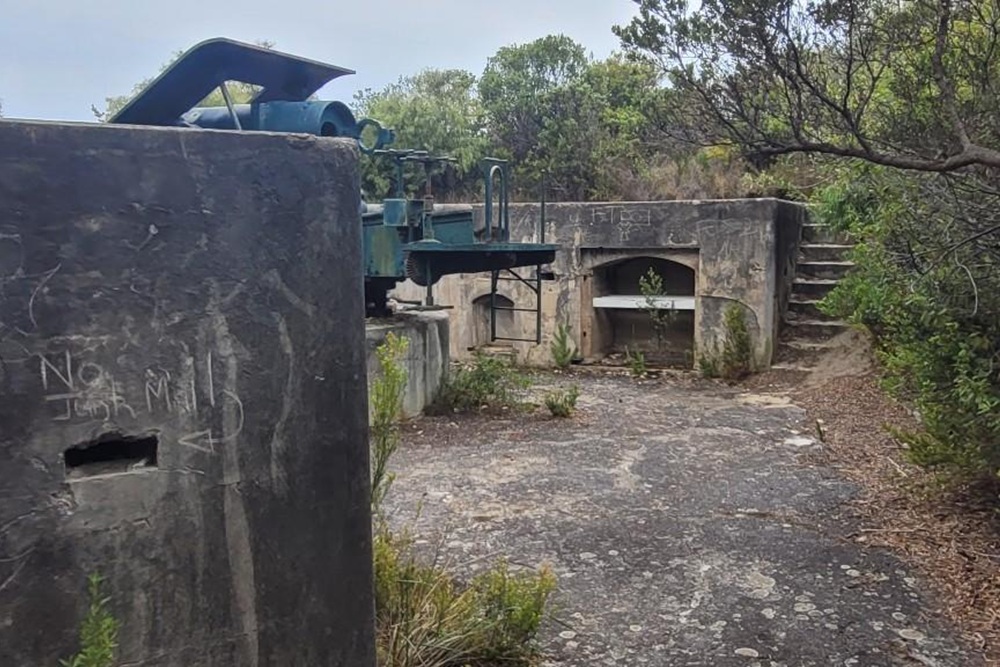 Plantagenet Battery Albany #2