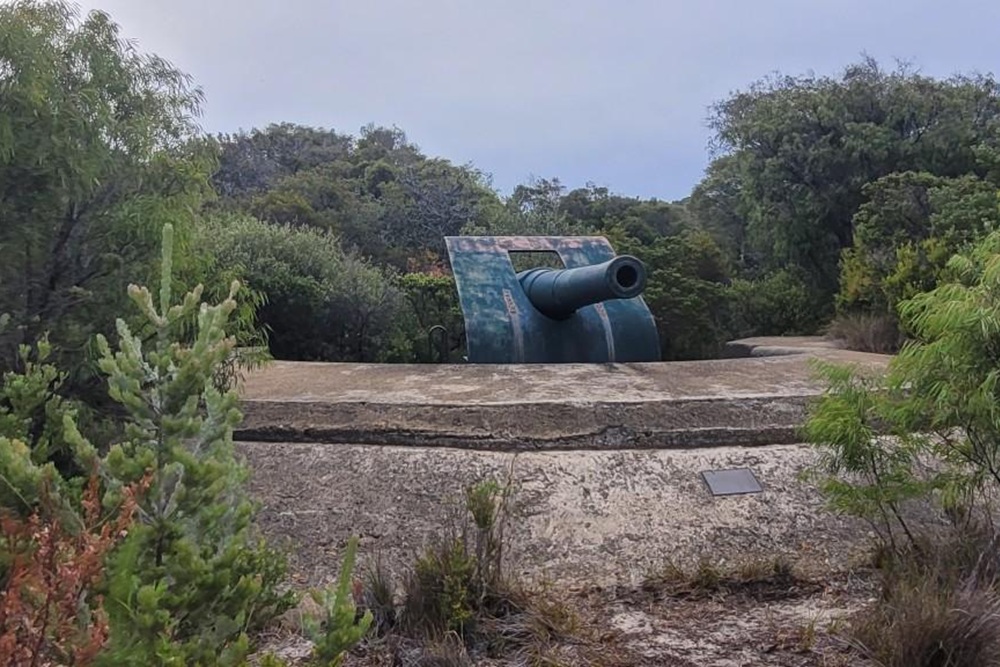 Plantagenet Battery Albany #3