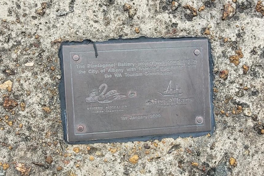 Plantagenet Battery Albany #4