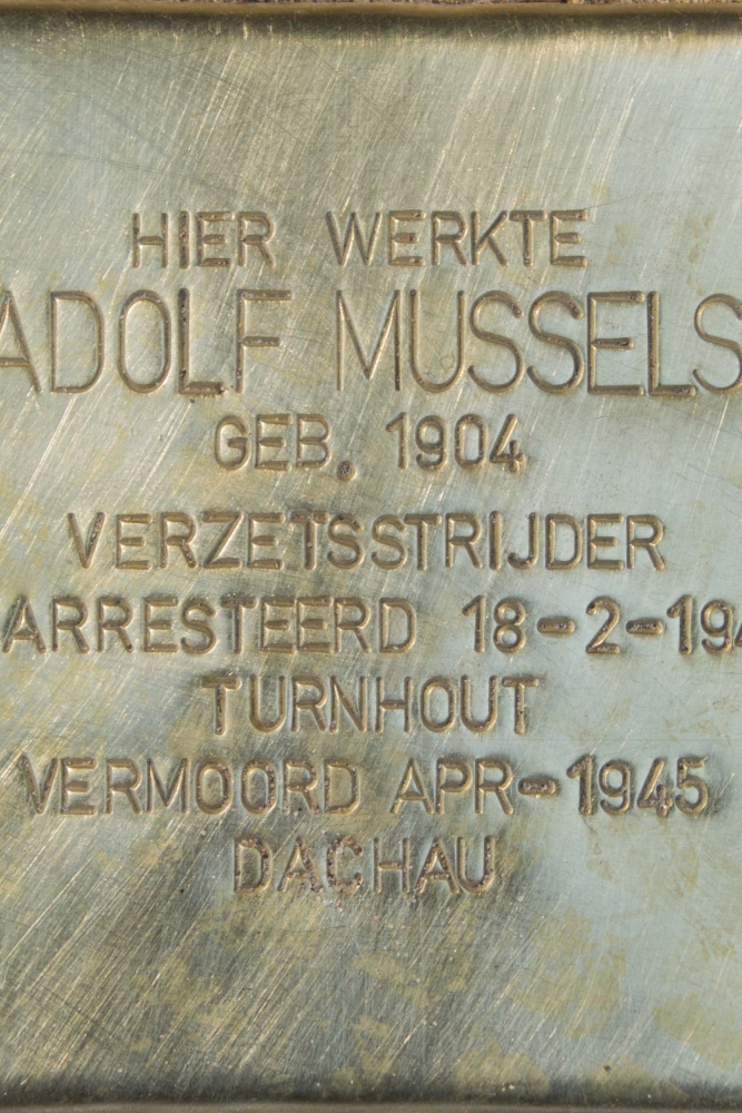 Stumbling stone resistance fighter Adolf Mussels Turnhout #2