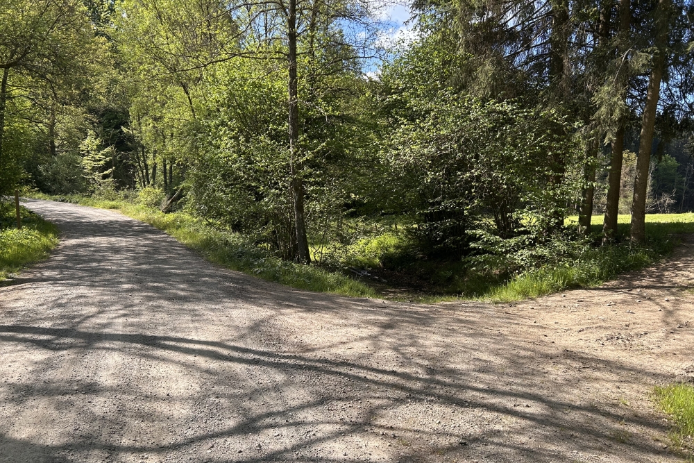 Kamfgruppe Peiper stranded, Ligneuville #1