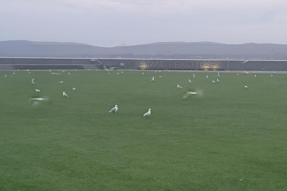 ANZAC Peace Park Albany #1