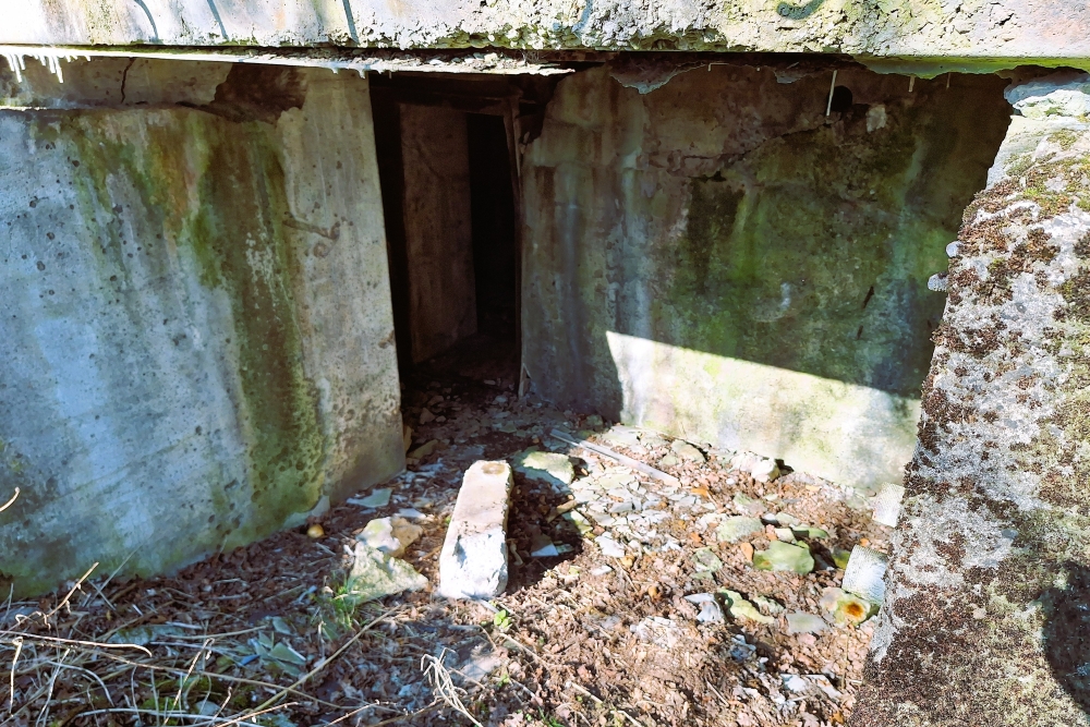 Duitse Bunker 23 Vogelsang #3