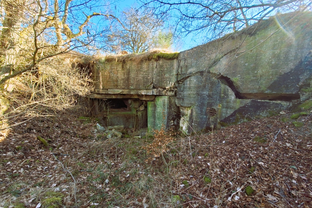 Duitse Bunker 23 Vogelsang #6
