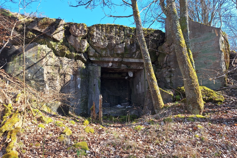 Duitse Bunker 23 Vogelsang #1