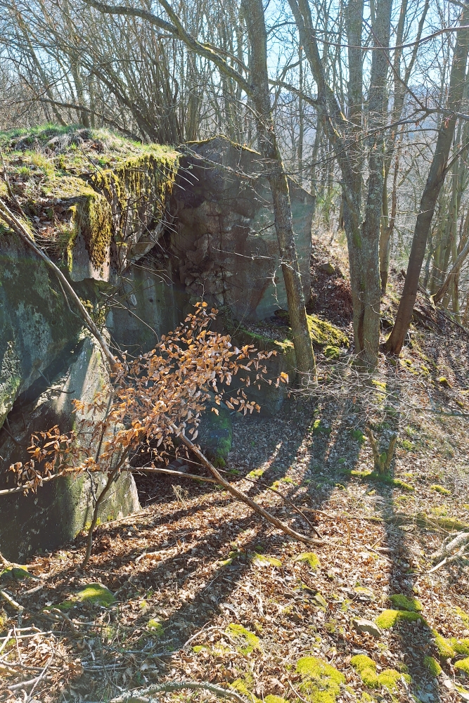 Duitse Bunker 23 Vogelsang #7