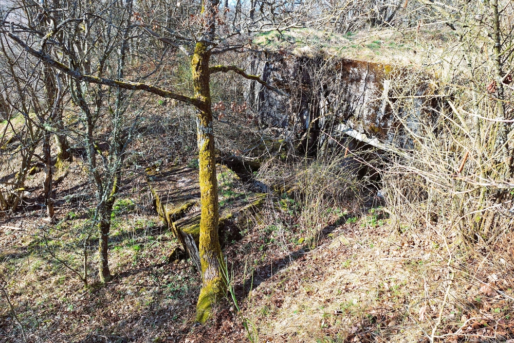 Duitse Bunker 23 Vogelsang #8