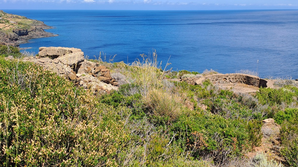 Coastal Battery of Punta Limársi #1