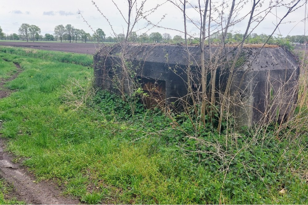 Casemate Peel Raamstelling S-K55 #2