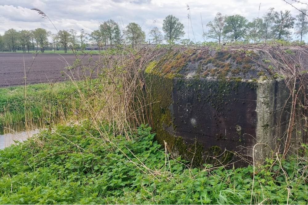 Casemate Peel Raamstelling S-K55 #4