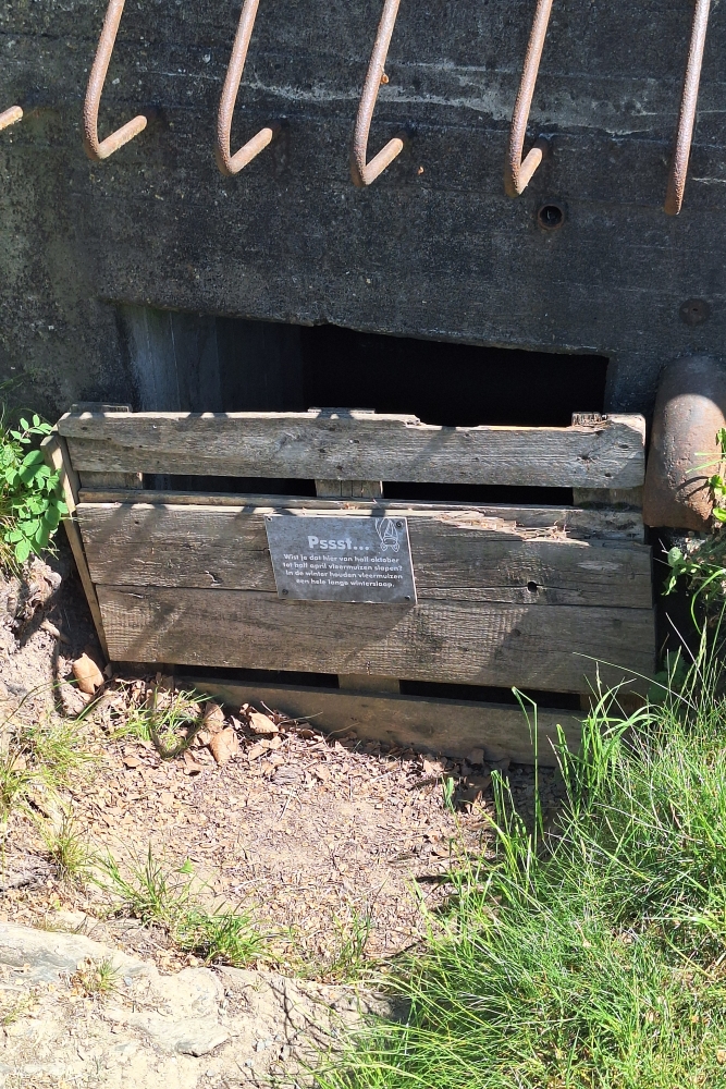 Nederlandse Bunker Herwijnen #2