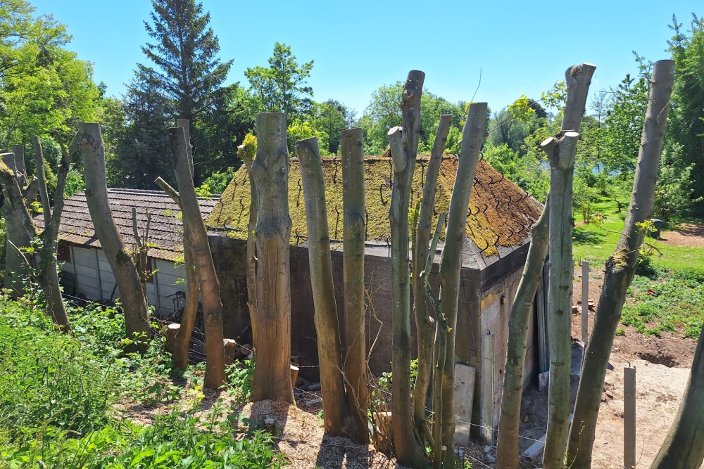 Group Shelter Type P Kerkweg