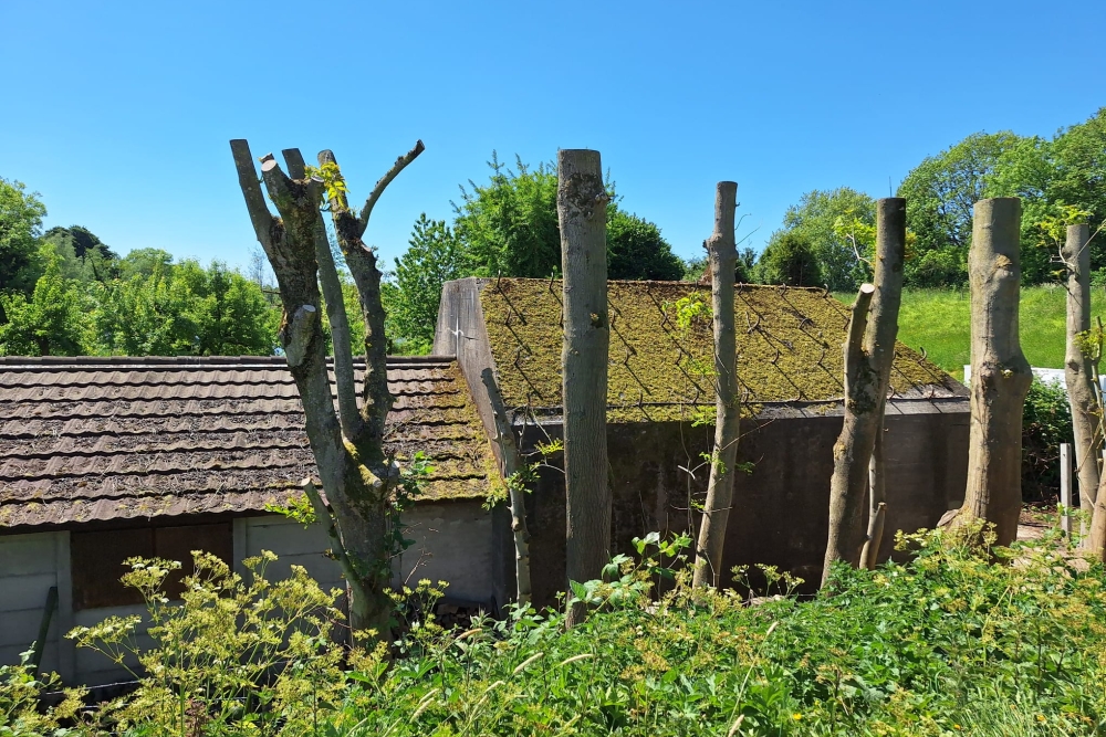 Group Shelter Type P Kerkweg #2