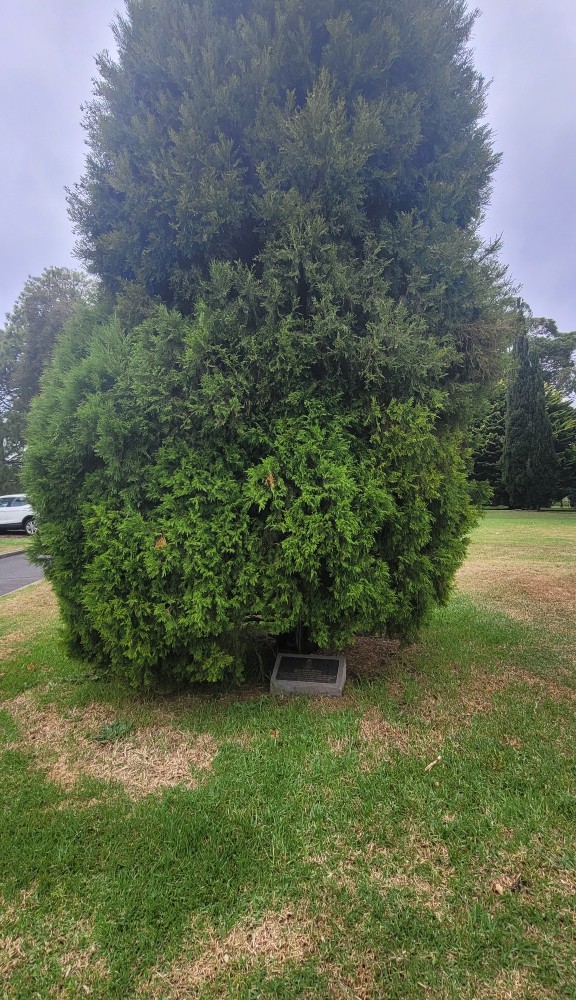 Shrine of Remembrance Park #4