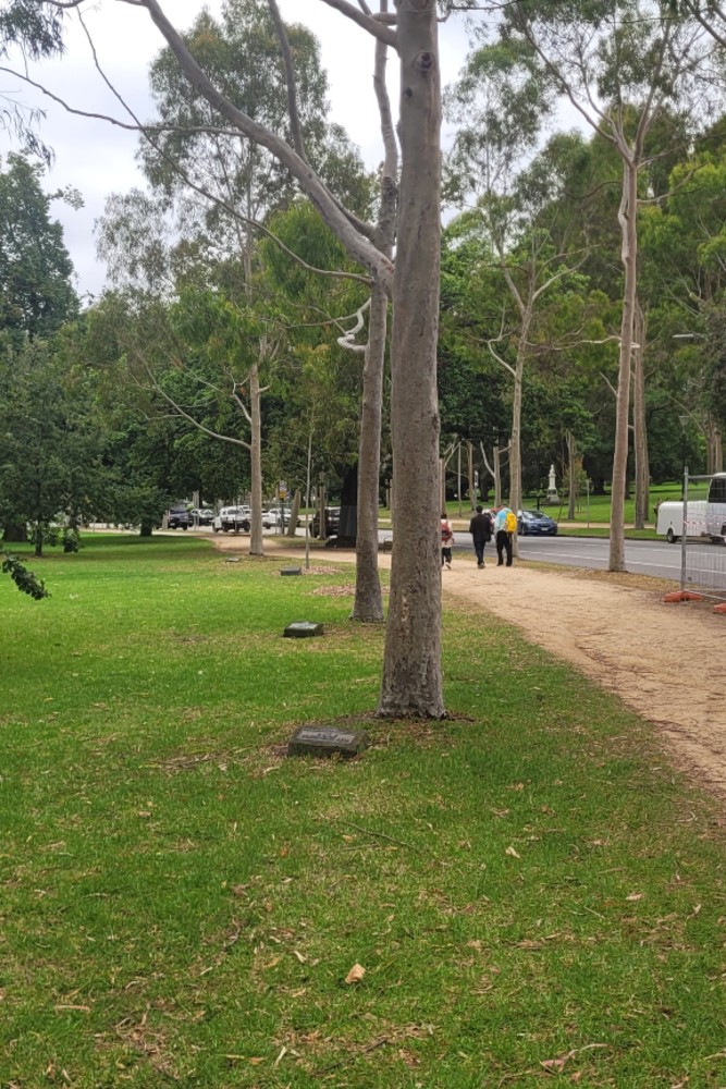 Shrine of Remembrance Park #5