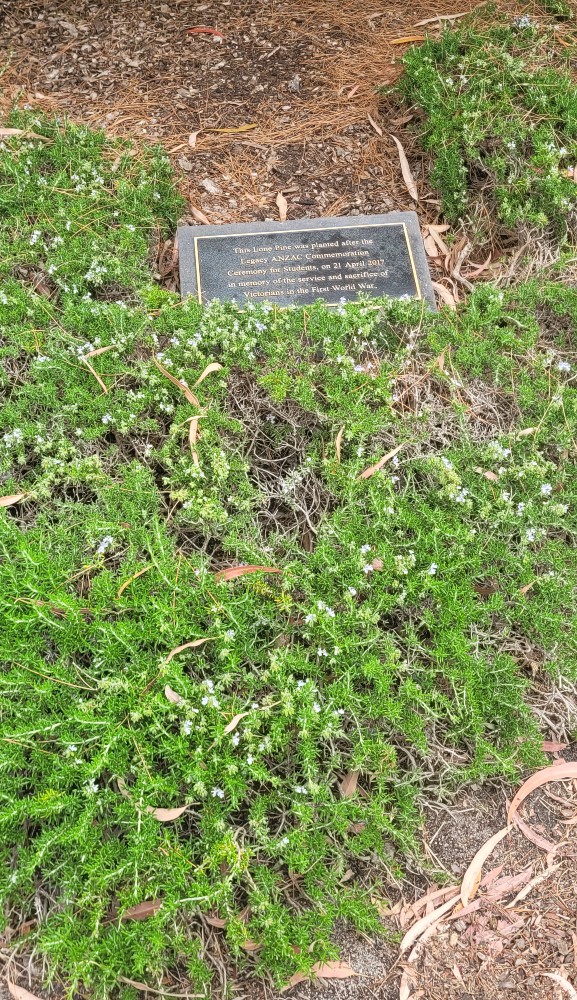 Gallipoli en Lone Pine Herdenkingstuin #3