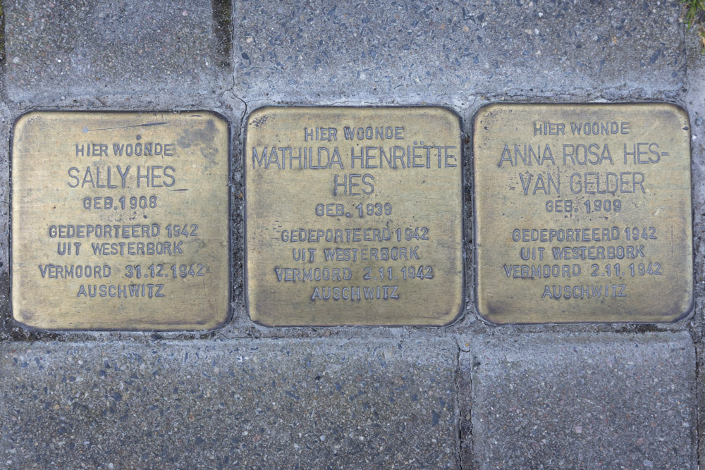 Stumbling Stones Schritsen 10 #3