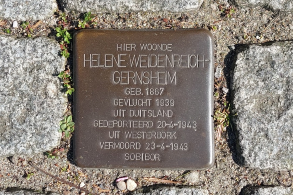 Stumbling Stone Blekerssingel 50 #3