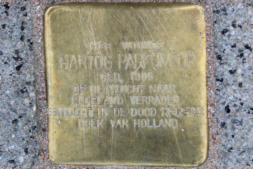 Stumbling Stone Voorburgseweg 41A #1
