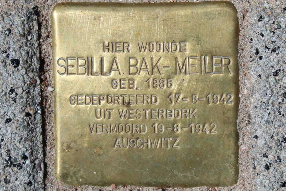 Stumbling Stone Schellinglaan 11