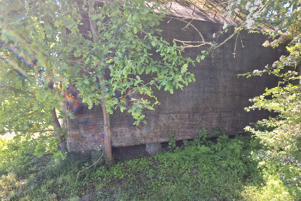 Bunker Type P on Pillars #4