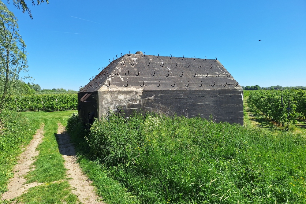 Group Shelter Type P Langendijk