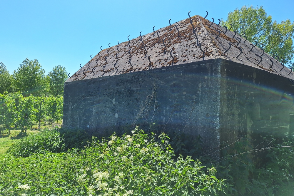 Group Shelter Type P Langendijk #7