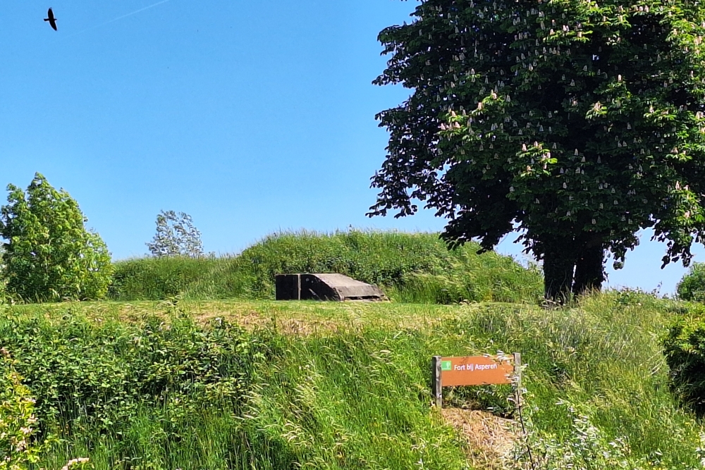 Observation Post Asperen #3