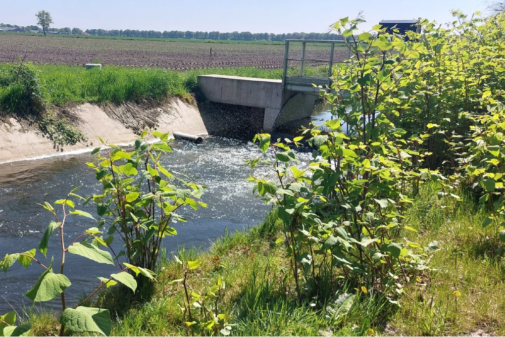 Peel-Raamstelling - Weir / distribution work (S7) #3