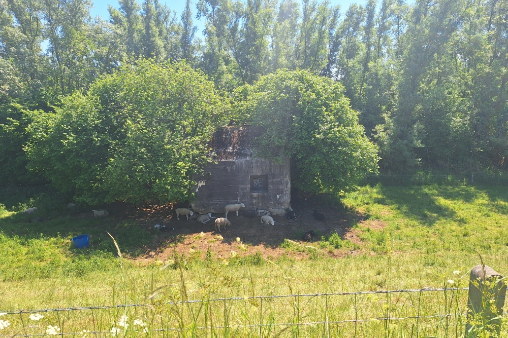 Group Shelter Type P Nieuwe Zuiderlingedijk #4