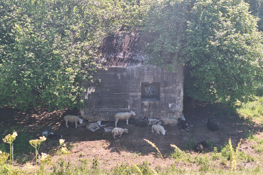 Group Shelter Type P Nieuwe Zuiderlingedijk