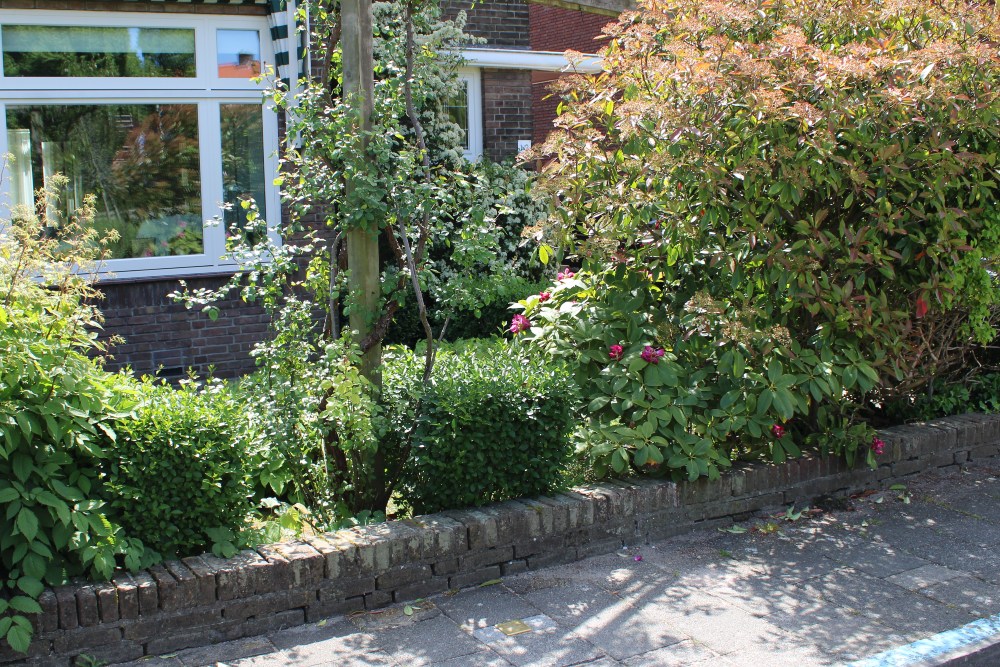Stumbling Stone Veenkade 12a #2