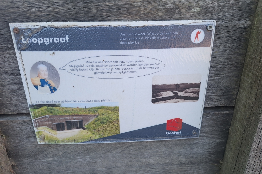 Trench Geofort  #2